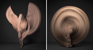 Shinichi Maruyama: Bodies in Motion